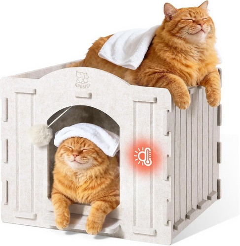 Indoor cat house - cat,