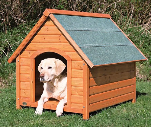 Dog house pitched roof - house,