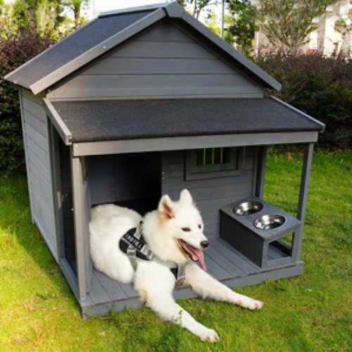 Dog house solid - dog,